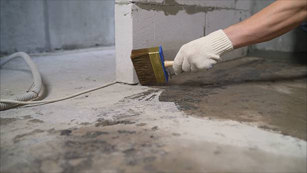 SJ Waterproofing Pros Emergency Waterproofing coverage map for Wilder, TN and surrounding area